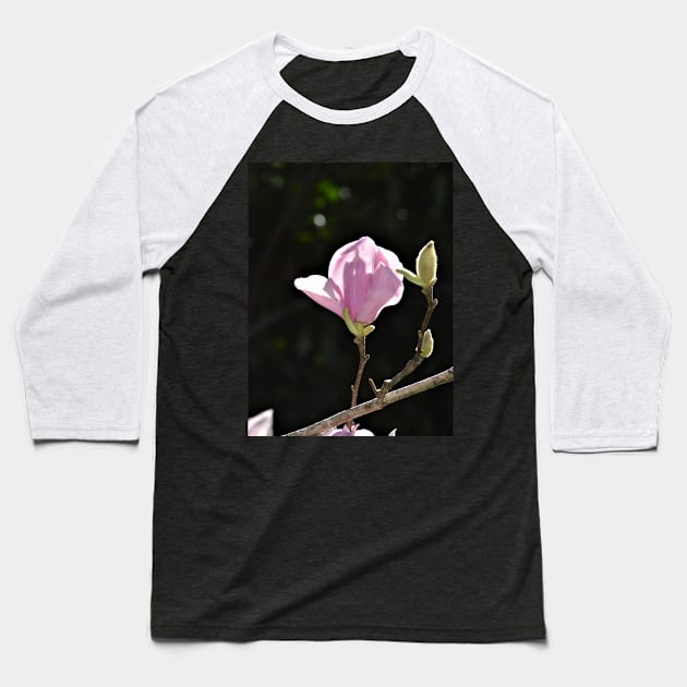 Pink Tulip Magnolia Bloom and Buds Baseball T-Shirt by Thompson Gallery